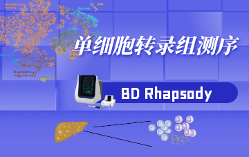 單細(xì)胞轉(zhuǎn)錄組測(cè)序