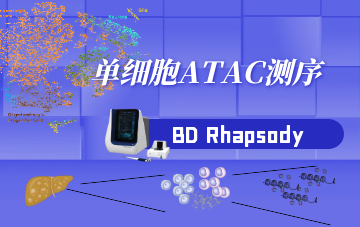 單細(xì)胞ATAC測(cè)序