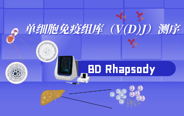 單細(xì)胞免疫組庫(kù)（V(D)J）測(cè)序
