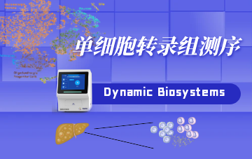 單細(xì)胞轉(zhuǎn)錄組測(cè)序