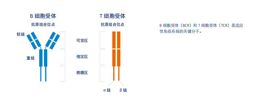 20250613578175.png