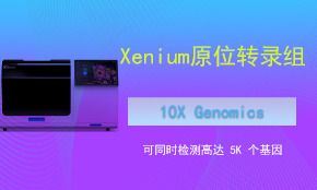 Xenium 單細(xì)胞空間轉(zhuǎn)錄組