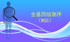全基因組重測(cè)序 （WGS）